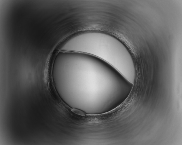 X0000088060392200705110918