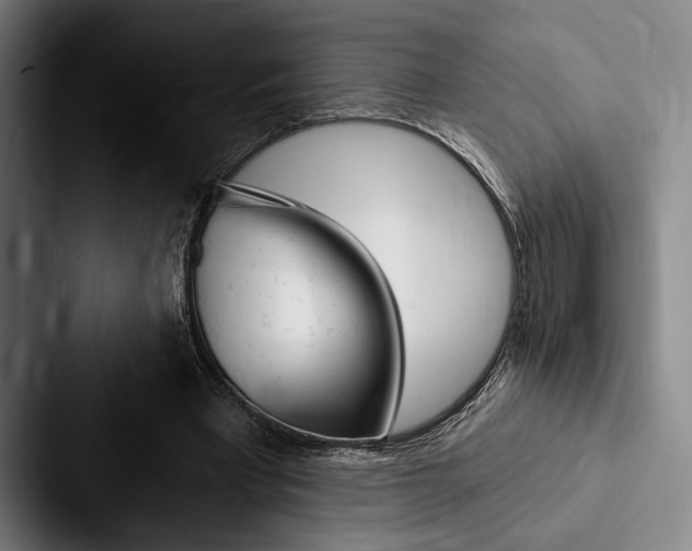 X0000088060393200705110918