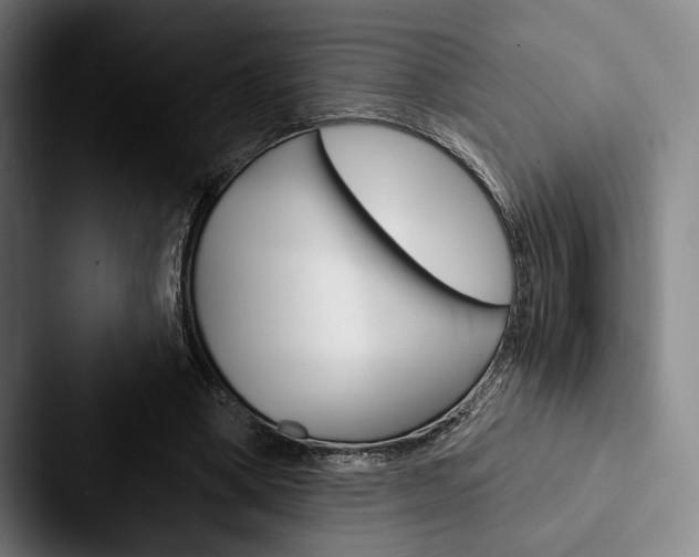 X0000088060394200705110918