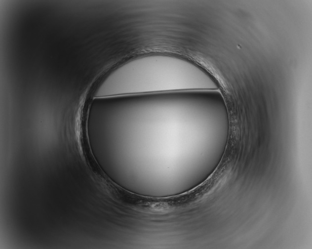 X0000088060395200705110918