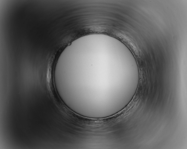 X0000088060398200705110918