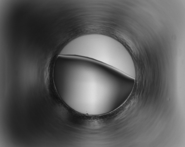 X0000088060404200705110918