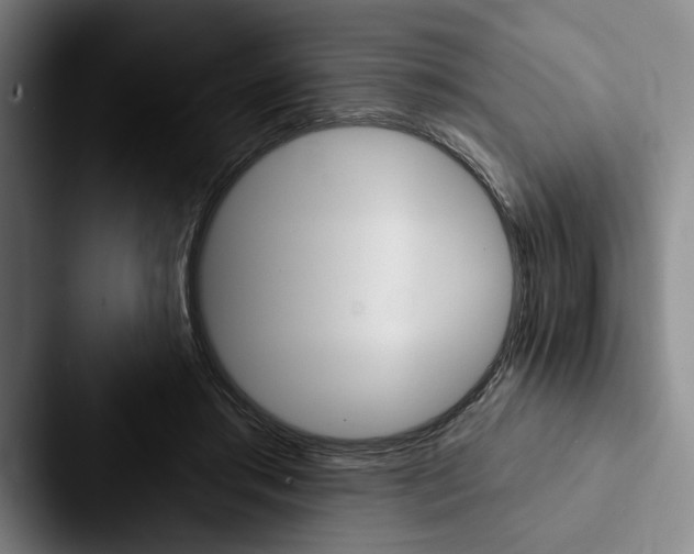 X0000088060405200705110918