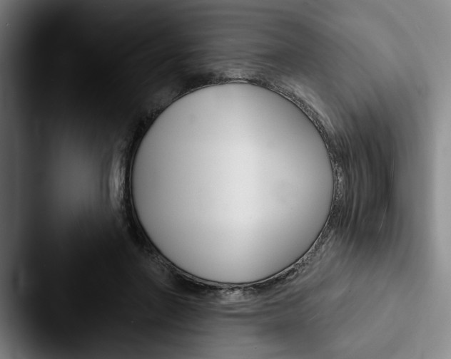 X0000088060406200705110918