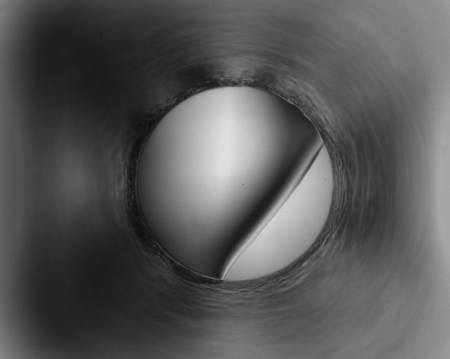 X0000088060416200705110917