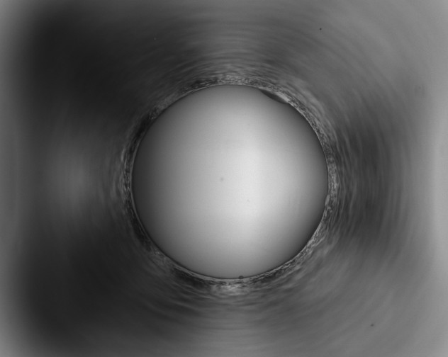 X0000088060419200705110917