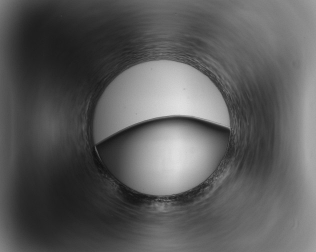 X0000088060420200705110917