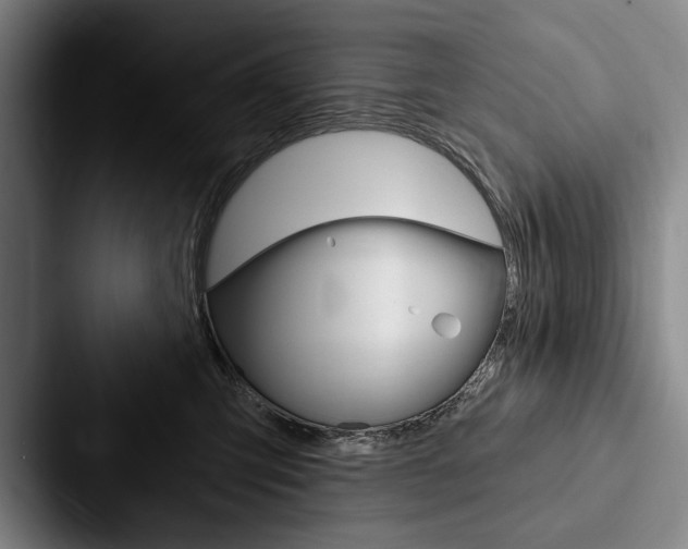 X0000088060423200705110917