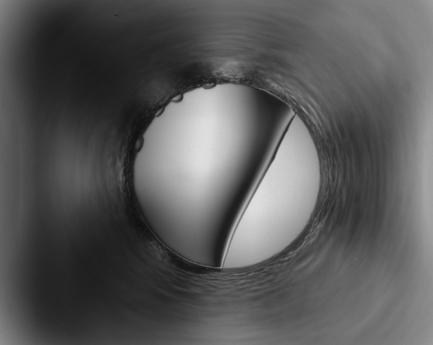 X0000088060424200705110917