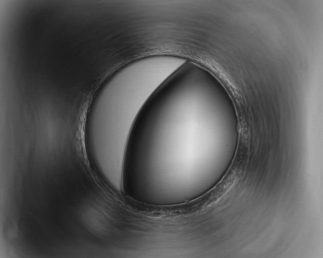 X0000088060434200705110917