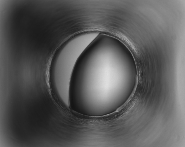 X0000088060436200705110917
