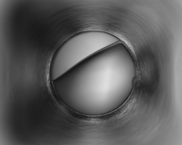 X0000088060437200705110917