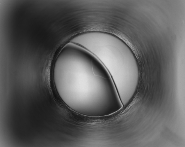 X0000088060438200705110917