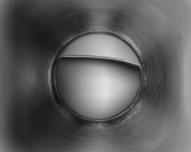 X0000088060439200705110917