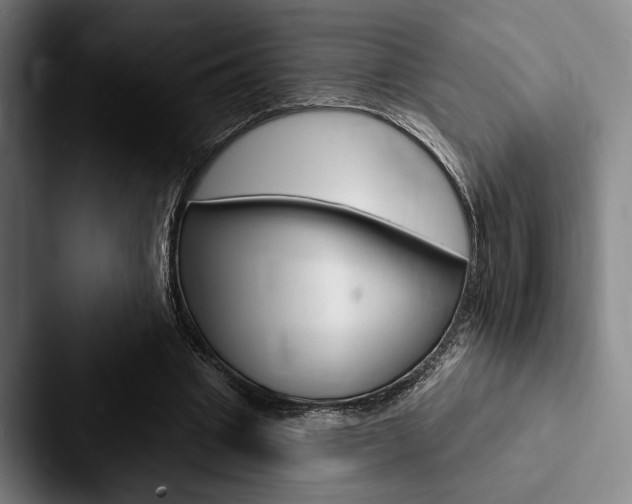 X0000088060441200705110917