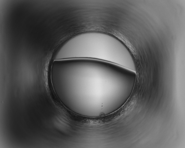 X0000088060442200705110917
