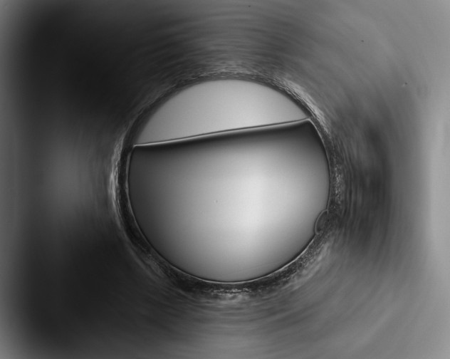 X0000088060443200705110917