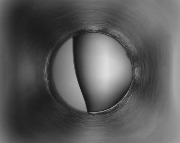 X0000088060444200705110917