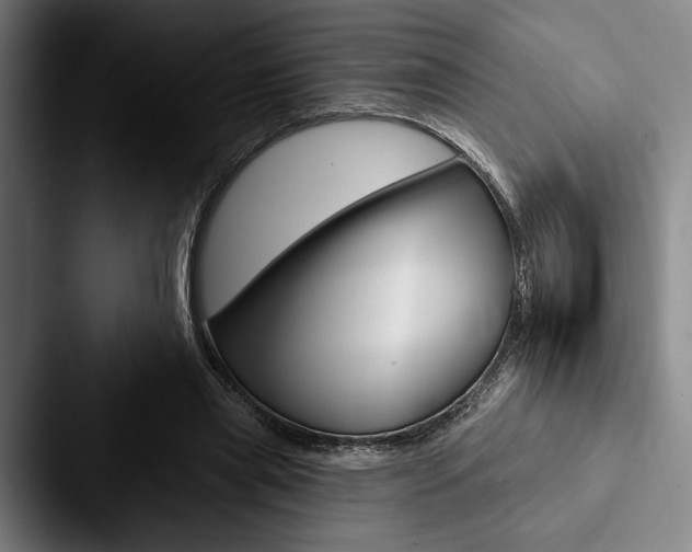 X0000088060445200705110917