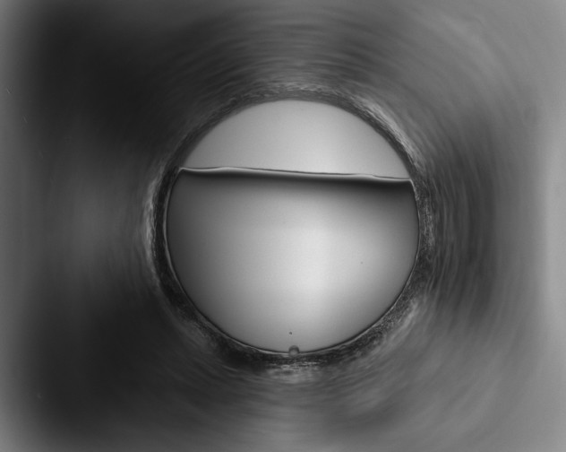X0000088060447200705110917