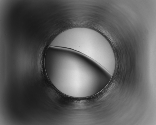 X0000088060450200705110917