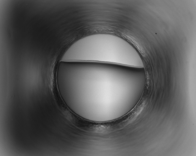 X0000088060453200705110917