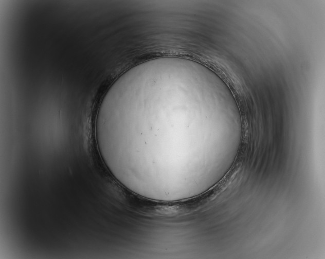 X0000088060457200705110917
