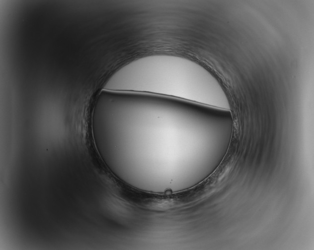 X0000088060458200705110917