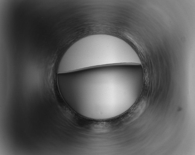 X0000088060459200705110917