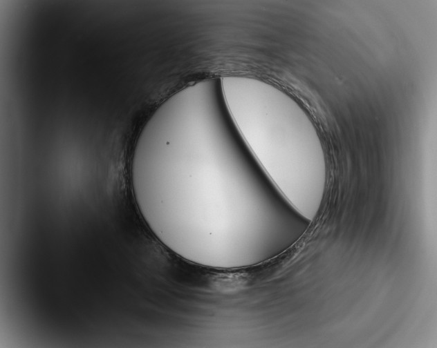 X0000088060465200705110917