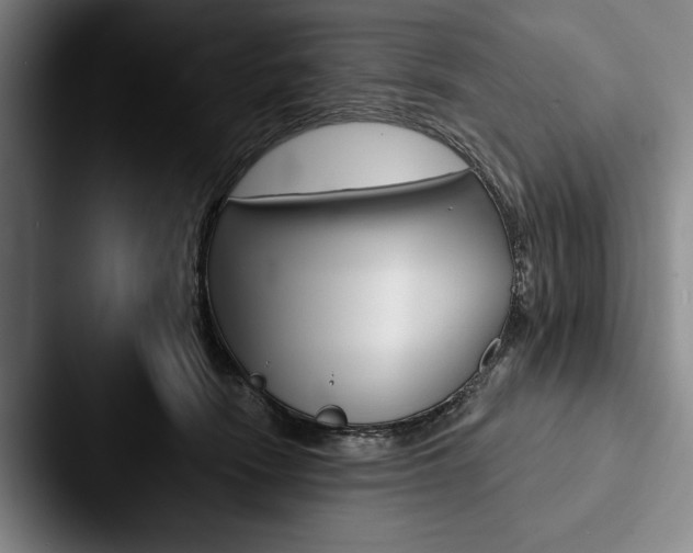 X0000088060466200705110917