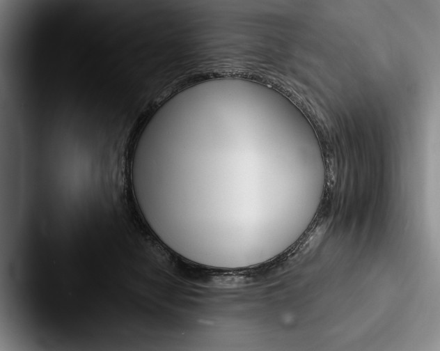 X0000088060470200705110917