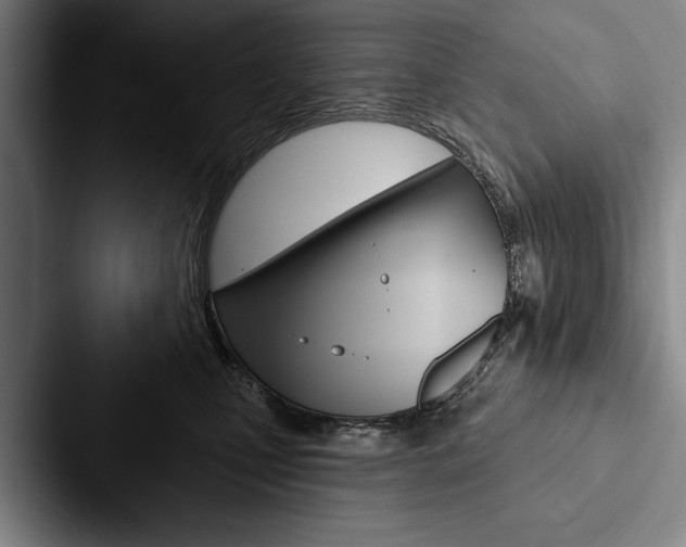 X0000088060471200705110917