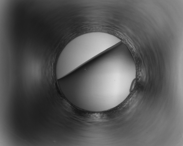 X0000088060473200705110917