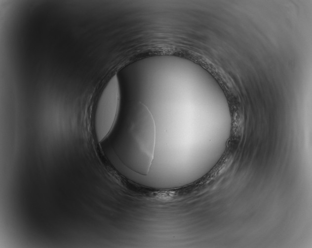 X0000088060474200705110917
