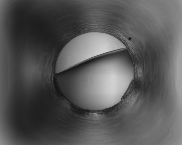 X0000088060475200705110917