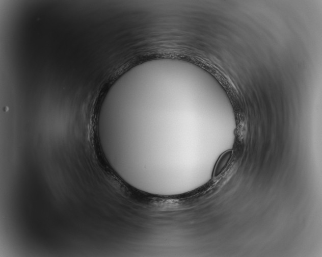 X0000088060476200705110917