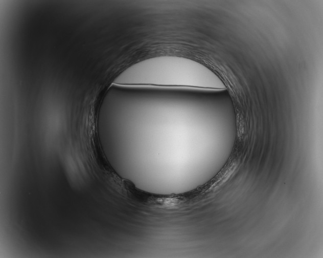 X0000088060478200705110917