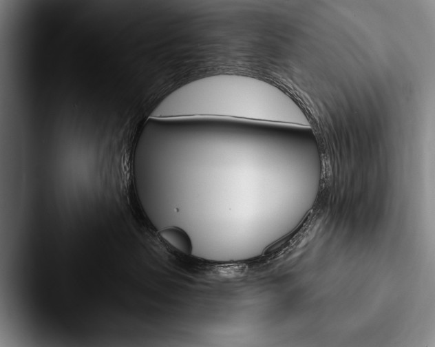 X0000088060479200705110917