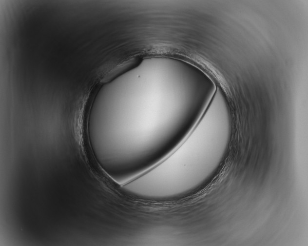 X0000088060485200705110917