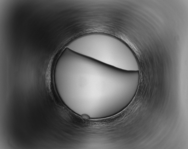X0000088060486200705110916