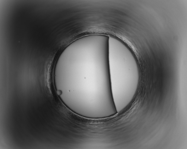 X0000088060487200705110916