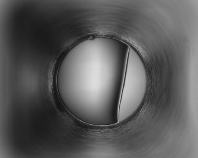 X0000088060488200705110916