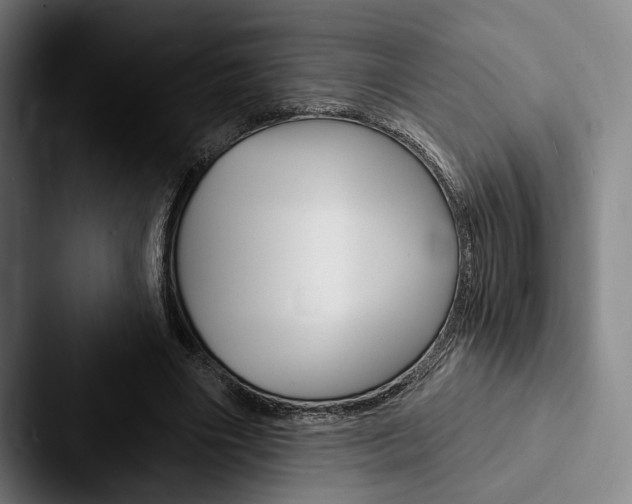 X0000088060490200705110916