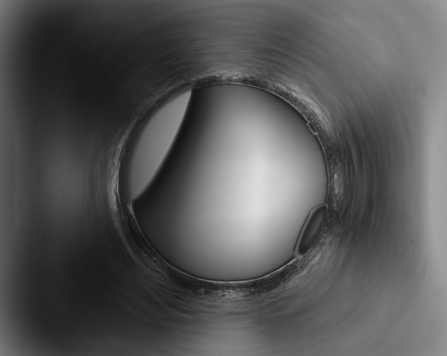 X0000088060492200705110916