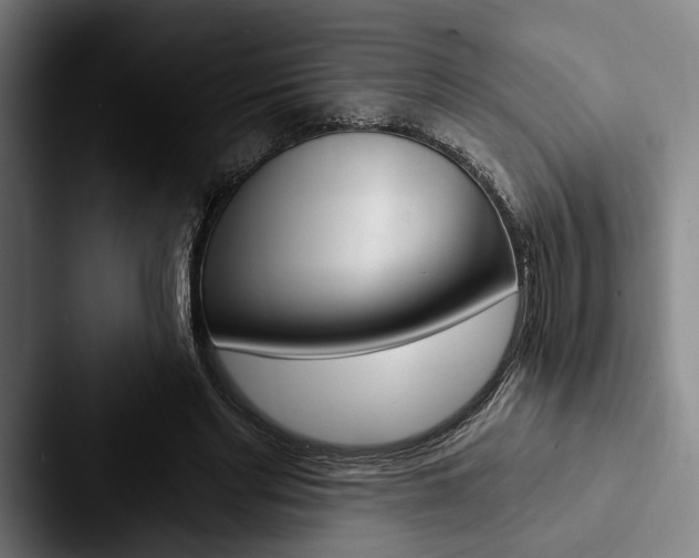X0000088060493200705110916