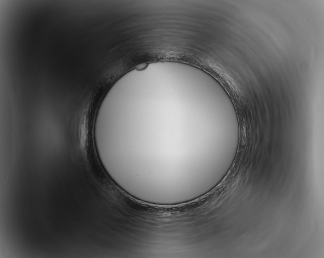 X0000088060494200705110916