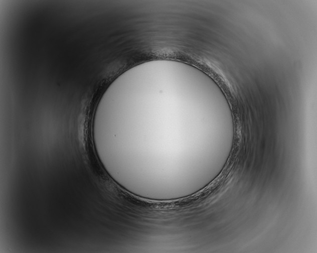 X0000088060495200705110916