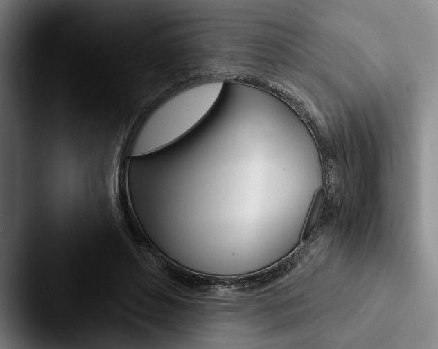 X0000088060496200705110916