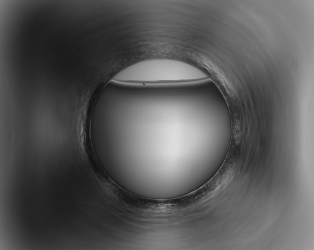 X0000088060497200705110916